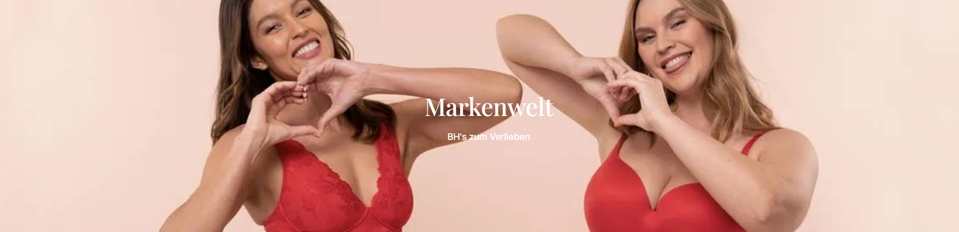 KATEGORIE_ALT_TEXT1